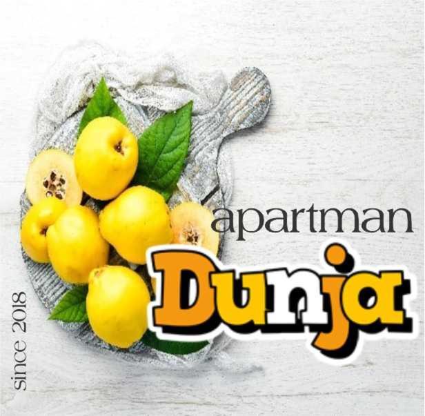 Apartman Dunja Βράνιε Εξωτερικό φωτογραφία